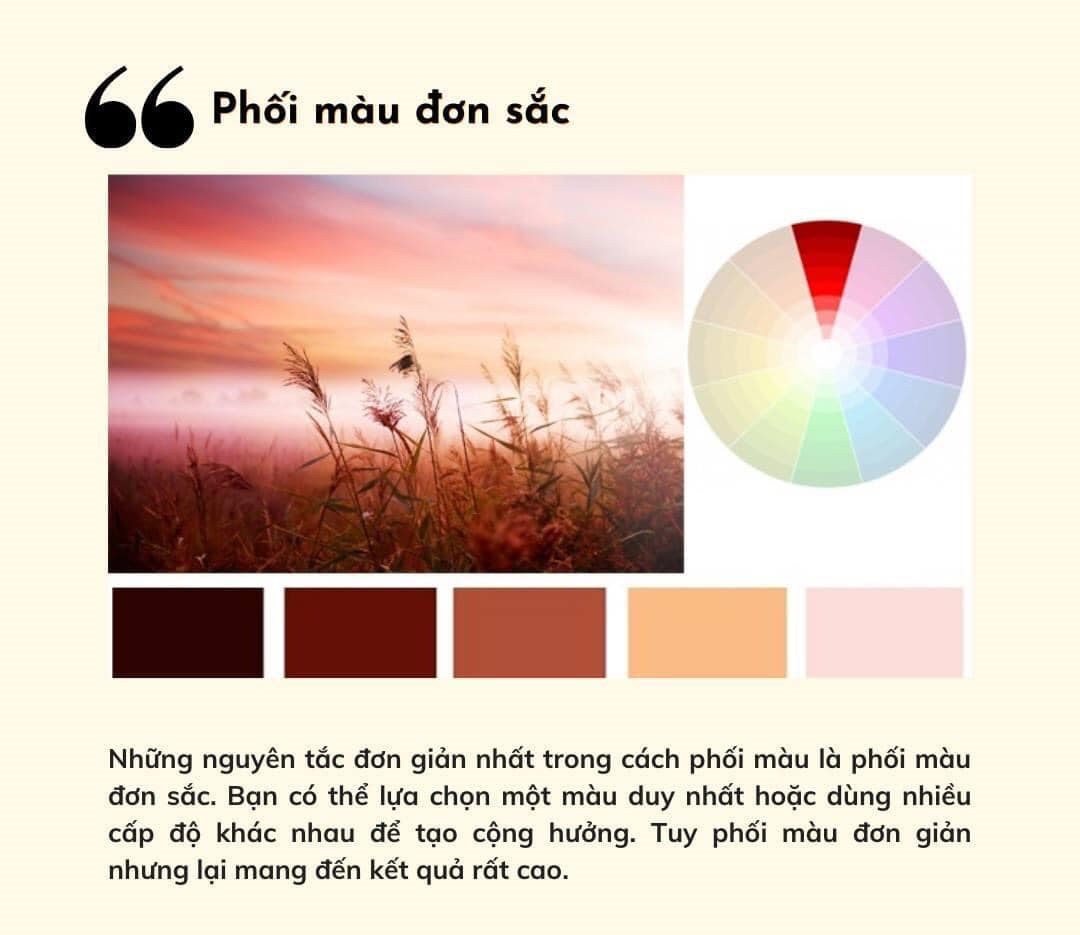 màu sắc trong thiết kế web